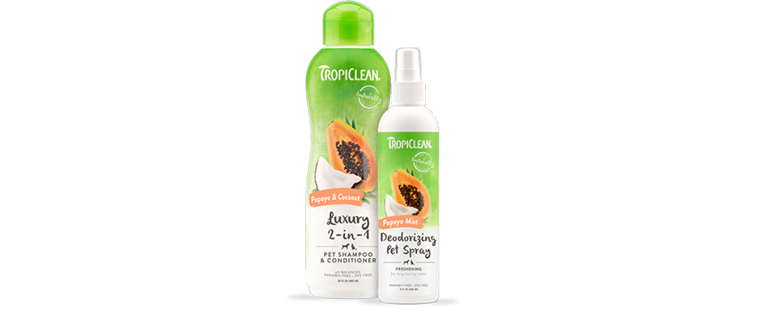 Hair Care
